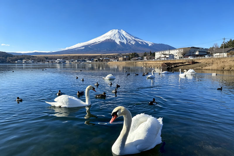 Mount Fuji Full-Day Small Group driver-guide tour (with Pick-up option) - A full day built around Fuji’s many viewpoints