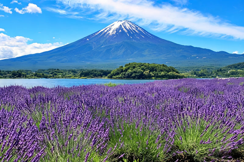 Mount Fuji Full-Day Small Group driver-guide tour (with Pick-up option) - Lake Kawaguchiko: room to take in the mountain