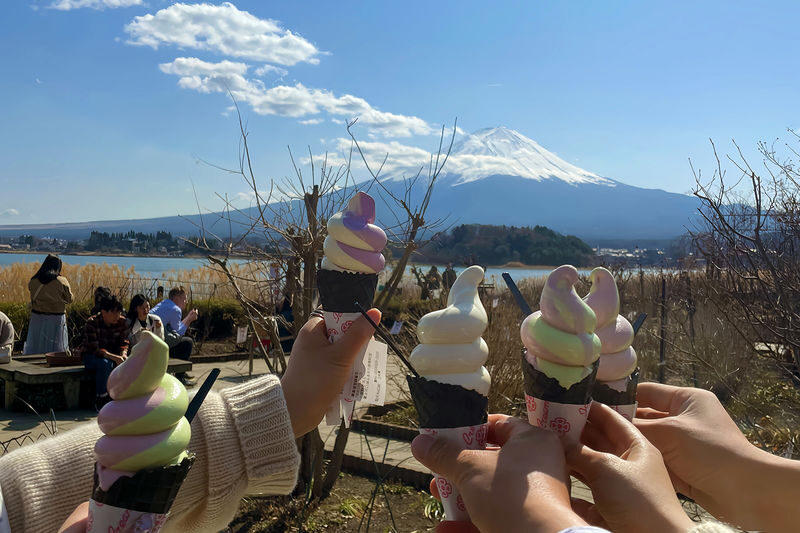 Mount Fuji Full-Day Small Group driver-guide tour (with Pick-up option) - Your driver-guide can make or break the day