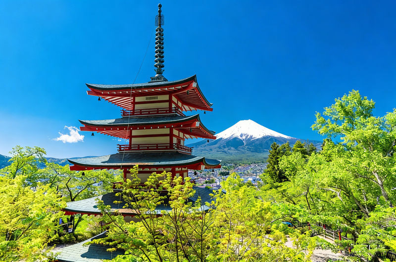Mount Fuji Full-Day Small Group driver-guide tour (with Pick-up option) - Weather and traffic: the two things you cannot control