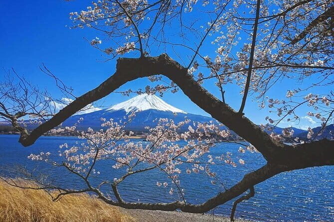 Mount Fuji Full Day Tour form Tokyo Lake Kawaguchi & Yamanaka - Exploring Japan’s Iconic Mountain: Mount Fuji Full Day Tour from Tokyo