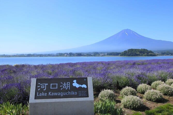 Mount Fuji Full Day Tour form Tokyo Lake Kawaguchi & Yamanaka - Key Points