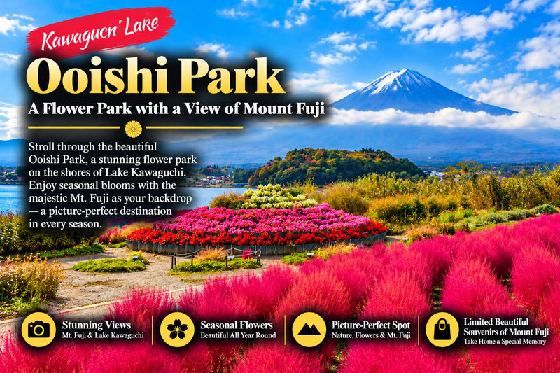 Mount Fuji Full Sightseeing Day Trip from Tokyo or Shinjuku - What this Mount Fuji day trip covers