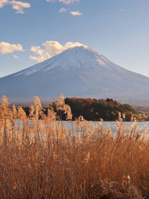 Mount Fuji & Gotemba Full-Day Private Customizable Tour - Traffic, meals, and the value of a full day
