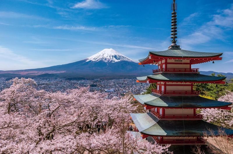 Mount Fuji & Gotemba Premium Outlets Full-Day Private Tour - The useful details at a glance