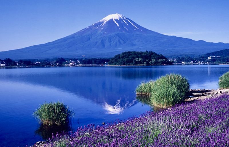 Mount Fuji & Gotemba Premium Outlets Full-Day Private Tour - Gotemba: a shopping stop with a view