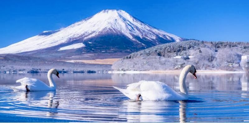 Mount Fuji & Gotemba Premium Outlets Full-Day Private Tour - Timing, weather and the value of flexibility
