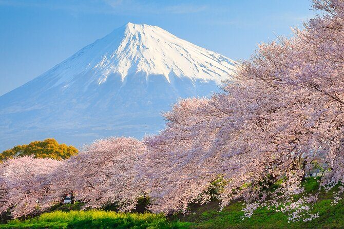 Mount Fuji & Hakone: 1-Day Private Van Tour with Hotel Pick-Up - A Detailed Look at the Mount Fuji & Hakone Private Tour