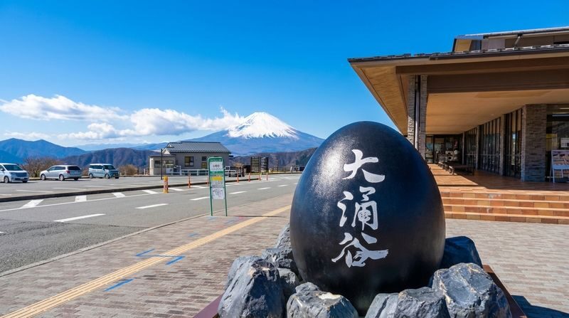 Mount Fuji & Hakone Day Tour | Hakone Shrine, Lake Ashi Water Torii Gate, Owakudani, Lake Yamanaka, Oshino Hakkai (Departure from Tokyo) - What the price includes, and what it does not