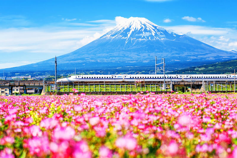 Mount Fuji & Hakone Day Trip: 5th Station/World Heritage Center & Owakudani & Hakone (Includes Ropeway Experience, Lunch & Return Bullet Train Options) - At a glance
