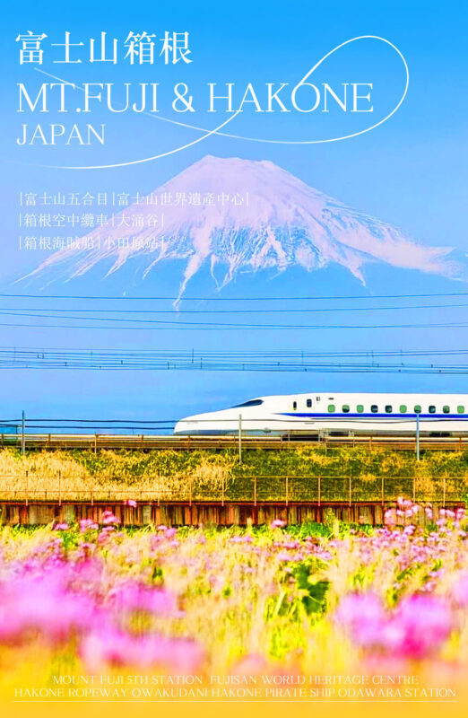 Mount Fuji & Hakone Day Trip: 5th Station/World Heritage Center & Owakudani & Hakone (Includes Ropeway Experience, Lunch & Return Bullet Train Options) - Fuji first, with a seasonal change of plan