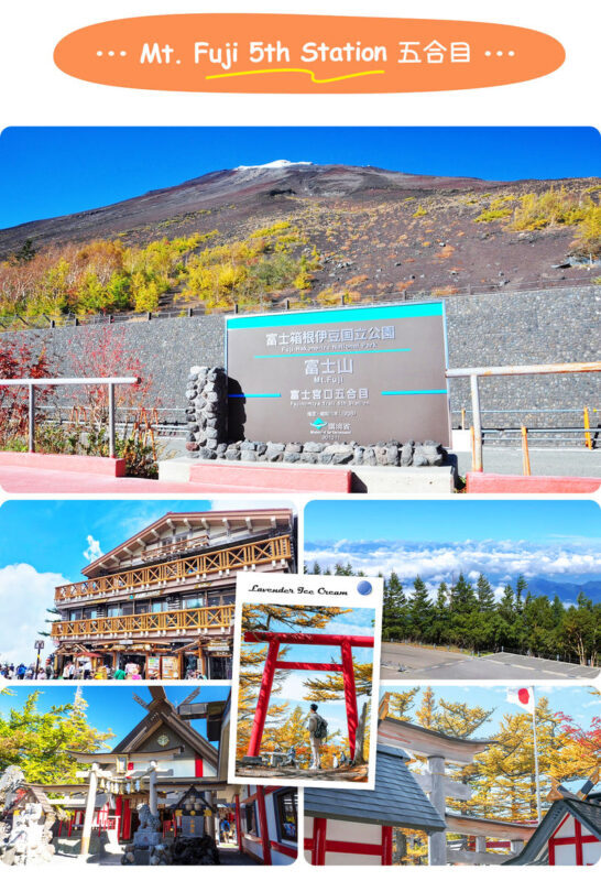 Mount Fuji & Hakone Day Trip: 5th Station/World Heritage Center & Owakudani & Hakone (Includes Ropeway Experience, Lunch & Return Bullet Train Options) - Lake Ashi by ropeway and pirate ship