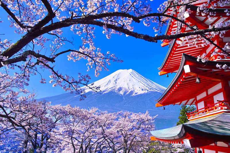 Mount Fuji & Hakone Day Trip: Arakurayama Sengen Park + Oshino Hakkai + Hakone Owakudani + Aerial Cable Car + Lake Ashi Pirate Ship (Departing from Tokyo) - Lake Ashi: a cruise with a separate fare