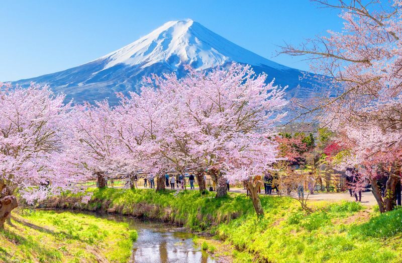 Mount Fuji & Hakone Day Trip: Arakurayama Sengen Park + Oshino Hakkai + Hakone Owakudani + Aerial Cable Car + Lake Ashi Pirate Ship (Departing from Tokyo) - Oshino Hakkai: clear water at the foot of Fuji