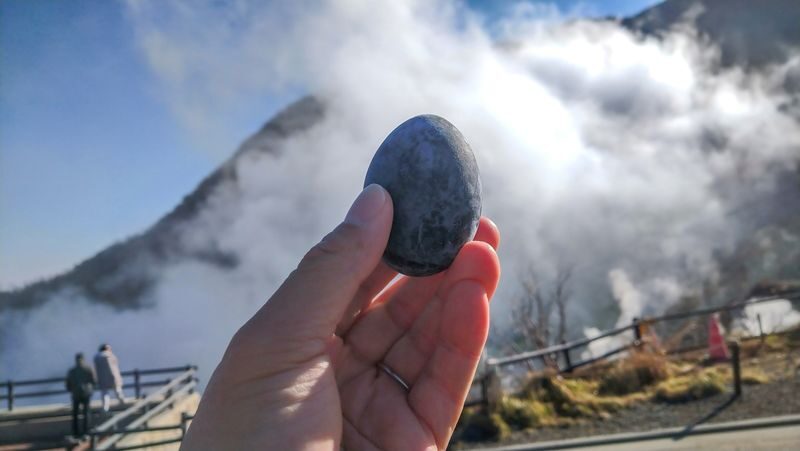 Mount Fuji & Hakone Day Trip: Arakurayama Sengen Park + Oshino Hakkai + Hakone Owakudani + Aerial Cable Car + Lake Ashi Pirate Ship (Departing from Tokyo) - Is this the right Fuji day trip for you?