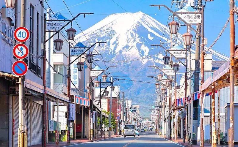 Mount Fuji & Hakone Day Trip - Customized Private Tour - Hakone Shrine and the red torii