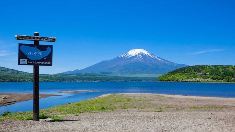 Mount Fuji & Hakone Day Trip - Customized Private Tour - Should you book it?
