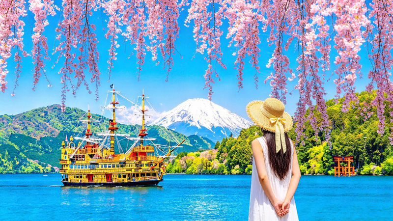 Mount Fuji Hakone Day Trip: Owakudani & Lake Ashi Pirate Ship & Lake Yamanaka & Oshino Hakkai & Ropeway Experience Tour (From Tokyo) - The short version: a full day with real variety