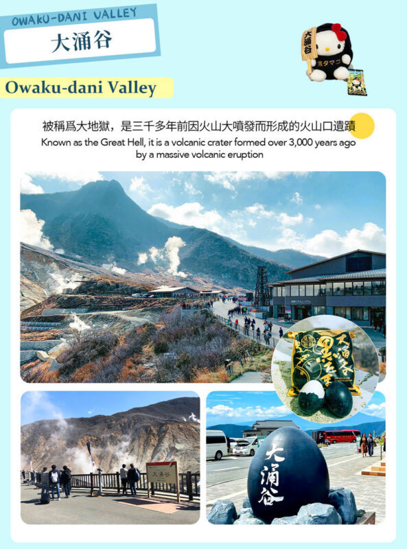 Mount Fuji Hakone Day Trip: Owakudani & Lake Ashi Pirate Ship & Lake Yamanaka & Oshino Hakkai & Ropeway Experience Tour (From Tokyo) - Lake Yamanaka brings the Fuji-and-swans view