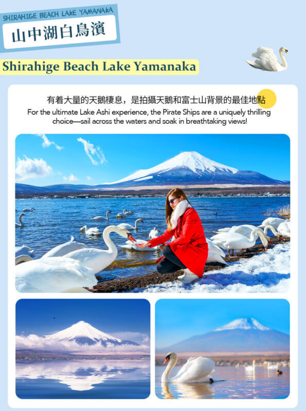 Mount Fuji Hakone Day Trip: Owakudani & Lake Ashi Pirate Ship & Lake Yamanaka & Oshino Hakkai & Ropeway Experience Tour (From Tokyo) - Oshino Hakkai’s clear springs reward a closer look