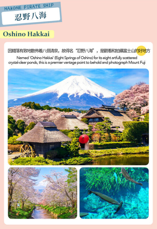 Mount Fuji Hakone Day Trip: Owakudani & Lake Ashi Pirate Ship & Lake Yamanaka & Oshino Hakkai & Ropeway Experience Tour (From Tokyo) - The guides can make a packed day easier