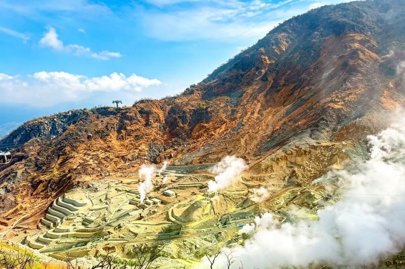 Mount Fuji & Hakone Full-Day Discovery - A day that trades depth for variety