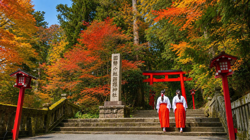 Mount Fuji & Hakone Full-Day Discovery - Lake Ashi by pirate ship