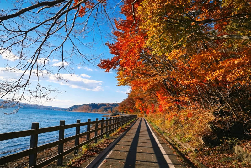 Mount Fuji & Hakone Full-Day Discovery - Is the starting price good value?