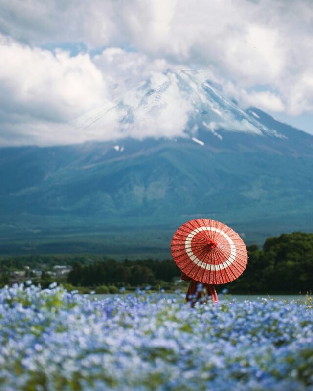 Mount Fuji, Hakone Full-Day Private Tour - A full day linking Mount Fuji and Hakone