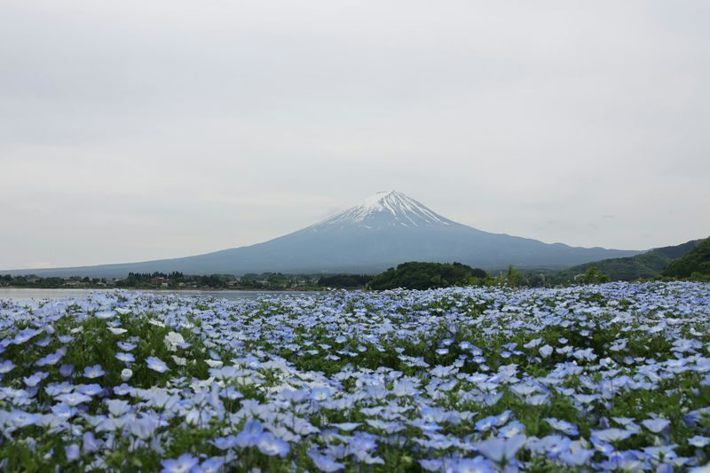 Mount Fuji, Hakone Full-Day Private Tour - Guides and communication