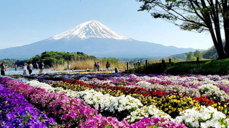 Mount Fuji & Hakone Full-Day Private Tour (Customizable) - Key Points