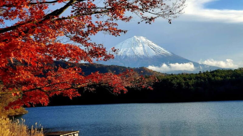 Mount Fuji & Hakone Full-Day Private Tour (Customizable) - Practical Details: What You Need to Know