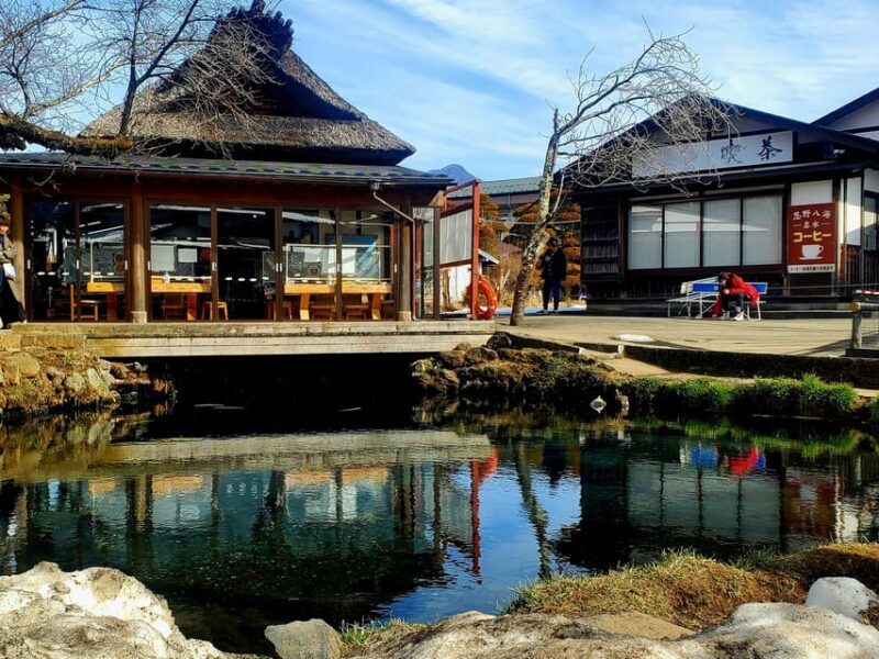 Mount Fuji & Hakone Full-Day Private Tour (Customizable) - Who Will Love This Tour?