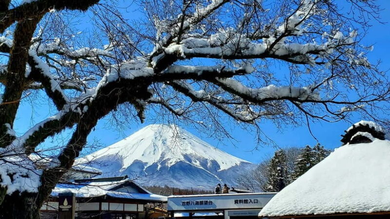 Mount Fuji & Hakone Full-Day Private Tour (Customizable) - The Sum Up: Is This Tour Worth It?