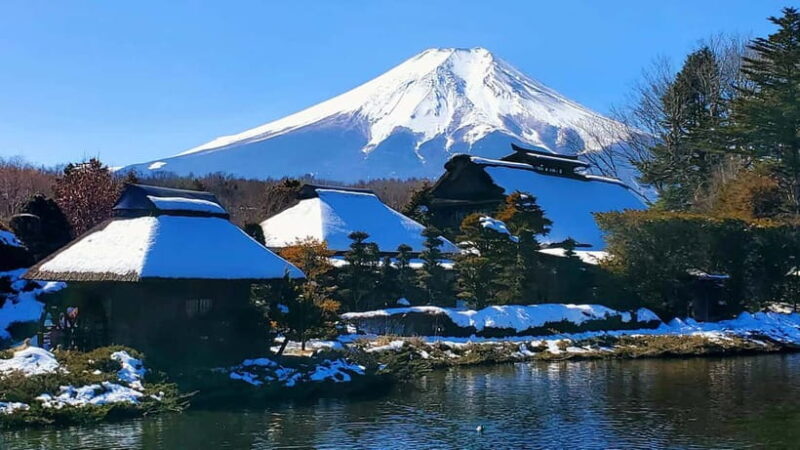 Mount Fuji & Hakone Full-Day Private Tour (Customizable) - FAQ
