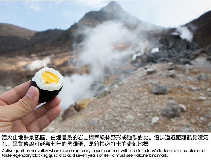 Mount Fuji/Hakone/Kamakura Day Trip: Classic Mountain Lake Secrets-Volcanic Wonders-Enoshima Scenery (Multiple Routes Available) - What the price covers, and what it does not