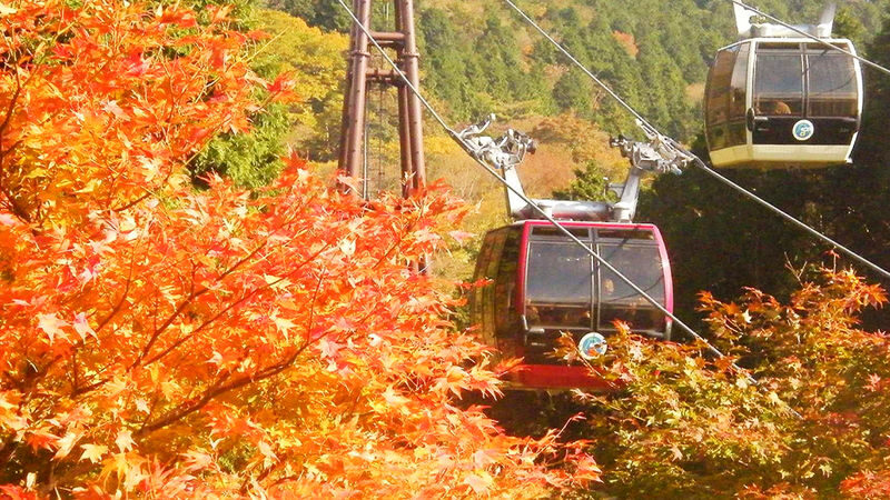 Mount Fuji, Hakone, Kamakura Day Trip | Hakone Pirate Ship, Aerial Tramway & Lake Ashi & Owakudani & Kamakura Enoshima Day Trip | Departure from Tokyo - Up the Hakone Ropeway to Owakudani