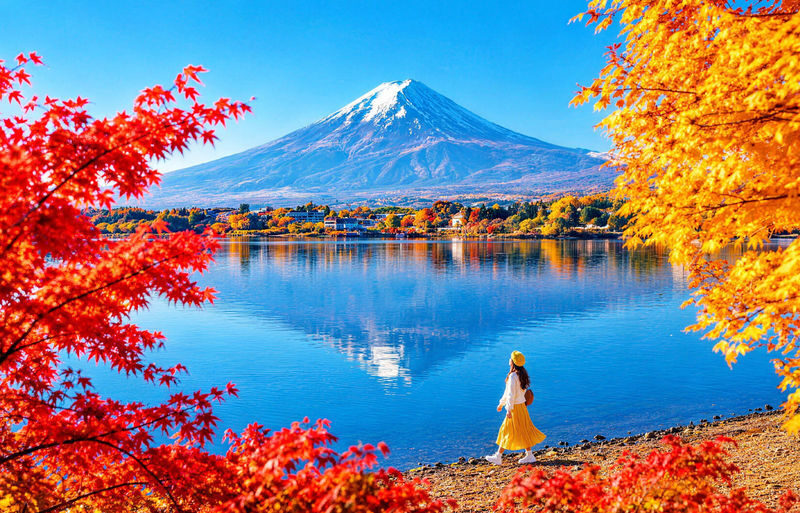 Mount Fuji/Hakone/Kamakura Private Car Day Tour (Hotel pick-up and drop-off/Multiple vehicle options available) - Key points before you book