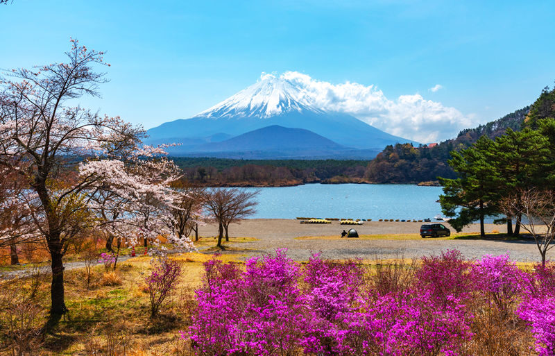 Mount Fuji/Hakone/Kamakura Private Car Day Tour (Hotel pick-up and drop-off/Multiple vehicle options available) - Fuji’s panoramic route and its photo stops