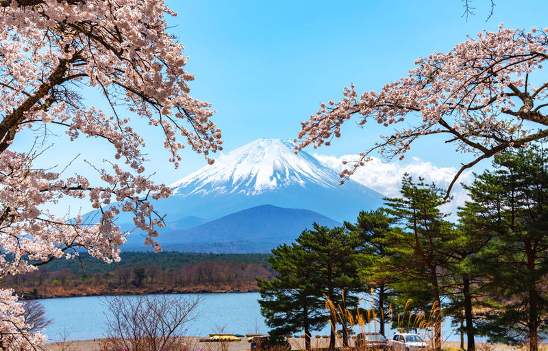 Mount Fuji/Hakone/Kamakura Private Car Day Tour (Hotel pick-up and drop-off/Multiple vehicle options available) - Kamakura: a Buddha, a coastal train, and old streets