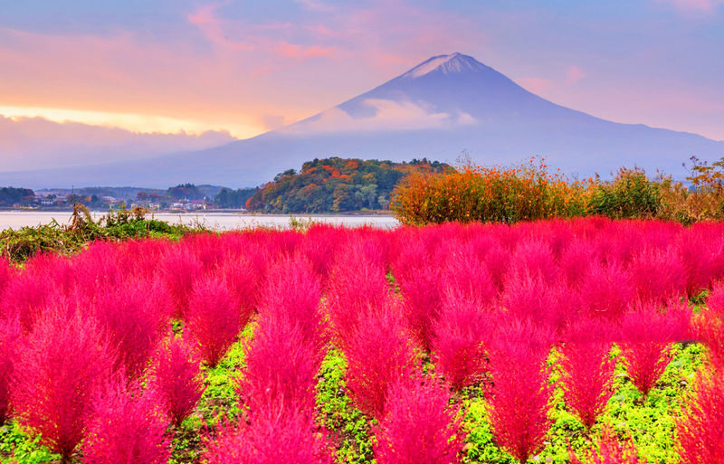 Mount Fuji/Hakone/Kamakura Private Car Day Tour (Hotel pick-up and drop-off/Multiple vehicle options available) - Timing, communication, and small practical details