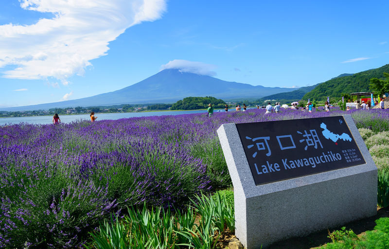 Mount Fuji/Hakone/Kamakura Private Car Day Tour (Hotel pick-up and drop-off/Multiple vehicle options available) - Who should book this tour?
