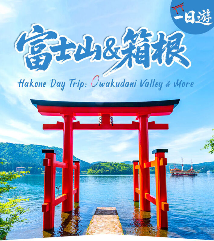Mount Fuji & Hakone - Lake Ashi Torii Gate, Hakone Shrine, Hakone Pirate Ship, Hakone Ropeway, Owakudani, Lake Yamanaka & Oshino Hakkai Day Trip: Sea, Land, and Air Panoramic Tour from Tokyo - Hakone Shrine and the torii at Lake Ashi
