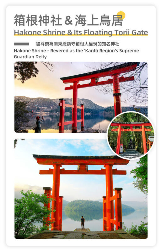 Mount Fuji & Hakone - Lake Ashi Torii Gate, Hakone Shrine, Hakone Pirate Ship, Hakone Ropeway, Owakudani, Lake Yamanaka & Oshino Hakkai Day Trip: Sea, Land, and Air Panoramic Tour from Tokyo - Lake Yamanaka’s swan shore