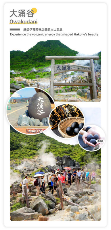 Mount Fuji & Hakone - Lake Ashi Torii Gate, Hakone Shrine, Hakone Pirate Ship, Hakone Ropeway, Owakudani, Lake Yamanaka & Oshino Hakkai Day Trip: Sea, Land, and Air Panoramic Tour from Tokyo - Is the price good value?