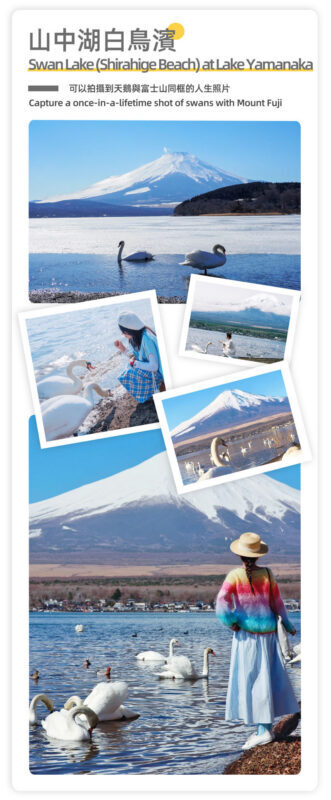 Mount Fuji & Hakone - Lake Ashi Torii Gate, Hakone Shrine, Hakone Pirate Ship, Hakone Ropeway, Owakudani, Lake Yamanaka & Oshino Hakkai Day Trip: Sea, Land, and Air Panoramic Tour from Tokyo - Practical details before you book