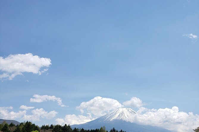 Mount Fuji, Hakone & Lakekawaguchiko Private Group Tour by Car. - FAQs