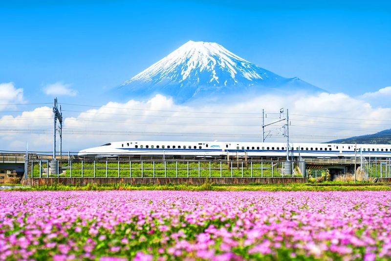 Mount Fuji & Hakone: Owakudani & Hakone Ropeway & Pirate Ship Day Trip (Optional Shinkansen Return) - What to know before you book