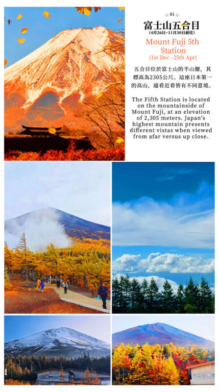 Mount Fuji & Hakone: Owakudani & Hakone Ropeway & Pirate Ship Day Trip (Optional Shinkansen Return) - A big day from Fuji to Hakone