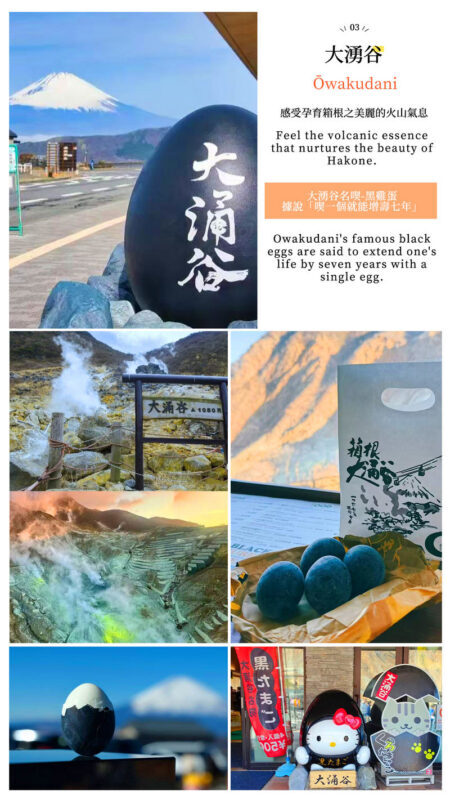 Mount Fuji & Hakone: Owakudani & Hakone Ropeway & Pirate Ship Day Trip (Optional Shinkansen Return) - Owakudani: volcanic ground and black eggs